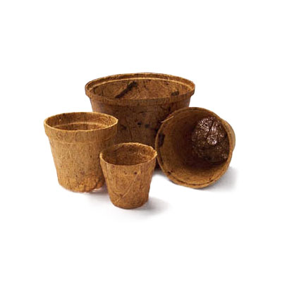 Coco Peat Pot 2